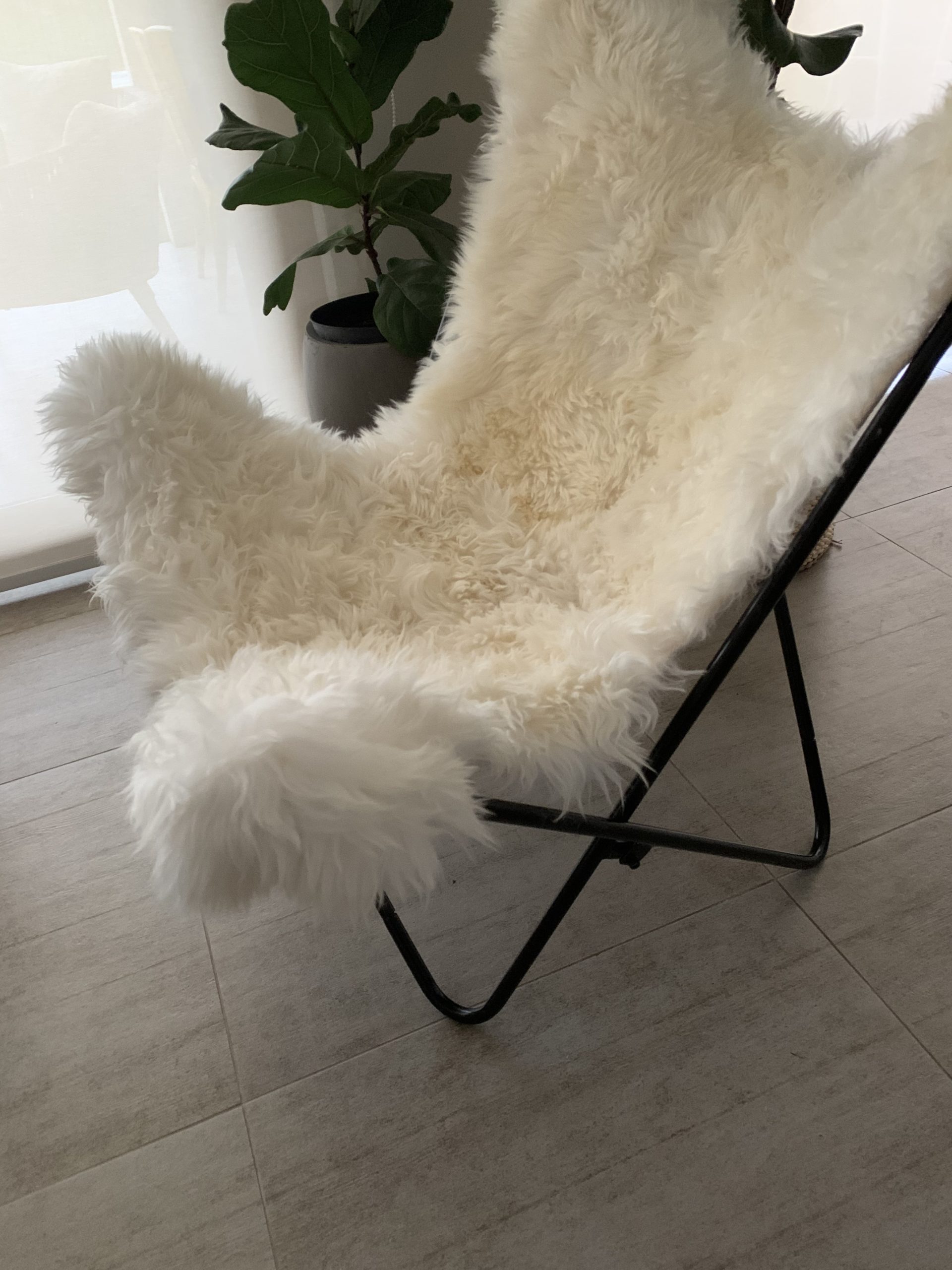 Silla BKF Oveja